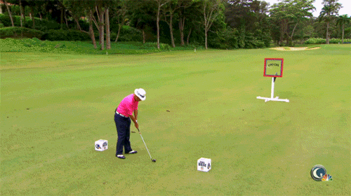 Archived workplace meme: Golf Balls