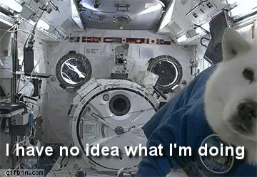 Archived workplace meme: No Idea What Im Doing